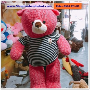 Gấu Bông Teddy Hàn Quốc - GAU82